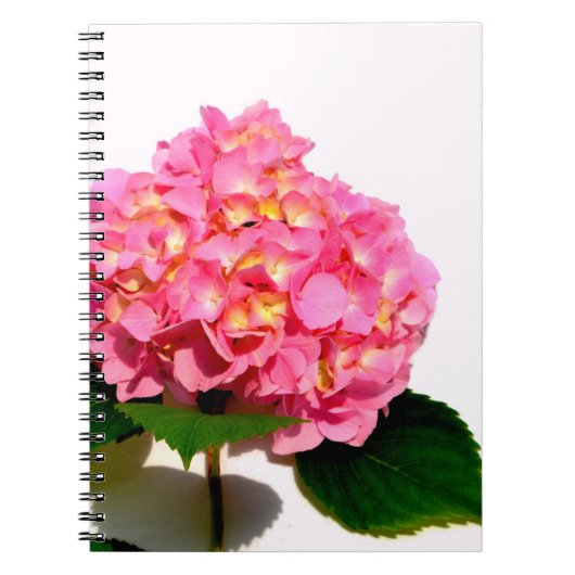 Elegante roze bloemenroze hortensia notitieboek (Voorkant)
