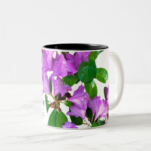 Elegante roze bloemetjes roze azalea's roze bloeme tweekleurige koffiemok (Voorkant rechts)