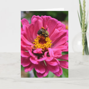 Elegante roze bloemige chrysanthemum margriet honi kaart