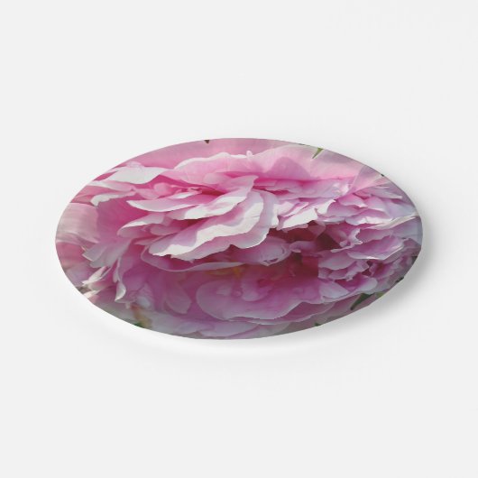 Elegante roze bloemroze bloem roze pioenrozen papieren bordje (Gekanteld)