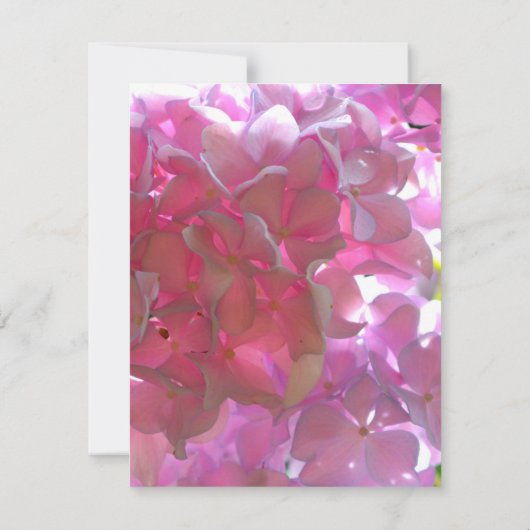 Elegante roze boho bloemen hortensia's bedankkaart (Achterkant)