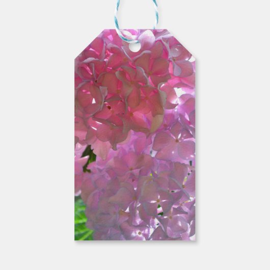 Elegante roze boho bloemen hortensia's cadeaulabel (Achterkant)