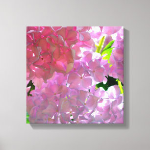 Elegante roze boho bloemen hortensia's canvas afdruk