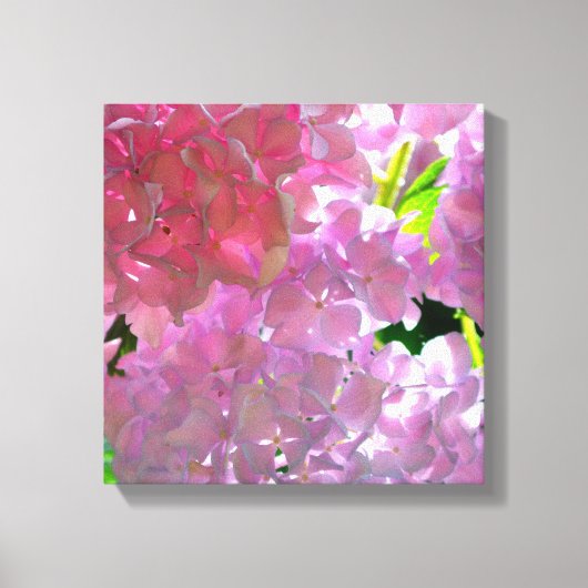 Elegante roze boho bloemen hortensia's canvas afdruk (Voorkant)