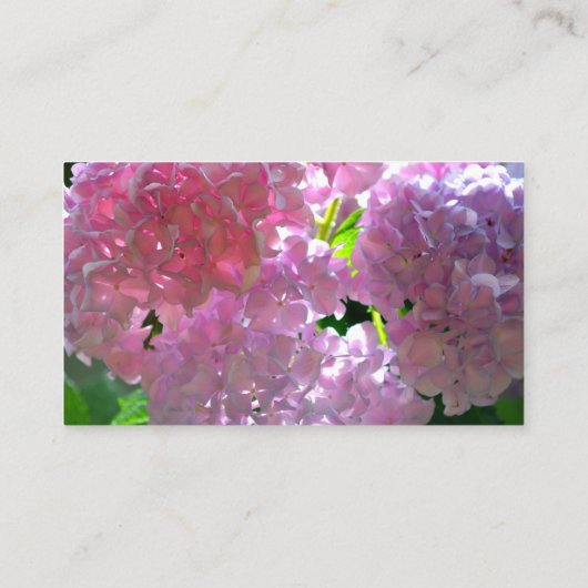 Elegante roze boho bloemen hortensia's informatiekaartje (Achterkant)
