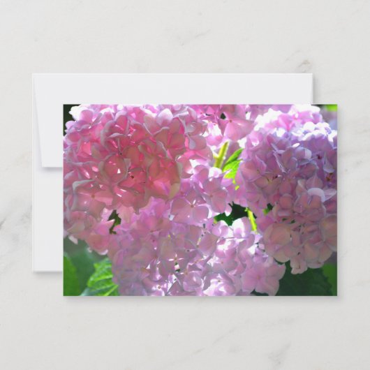 Elegante roze boho bloemen hortensia's save the date (Achterkant)