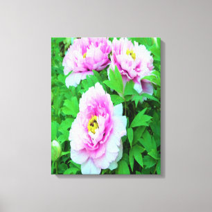 Elegante Roze Boom Pioen Bloemen met Gele Kern Canvas Afdruk