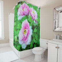 Elegante Roze Boom Pioen Bloemen met Gele Midden