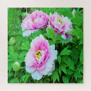 Elegante Roze Boom Pioen Bloemen met Gele Midden Legpuzzel