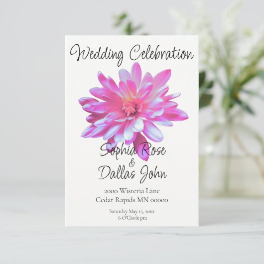 Elegante Roze Daisy roze bloemenroze bloem Kaart (Staand voorkant)