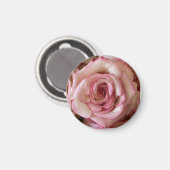 Elegante Roze Getipte Witte Roos Ronde Magneet (Voorkant / Achterkant)