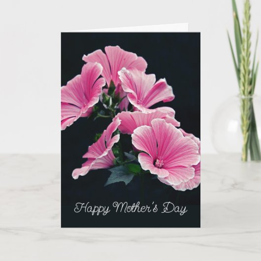 Elegante Roze Heemst Mallow Malva Bloem Kaart (Voorkant)