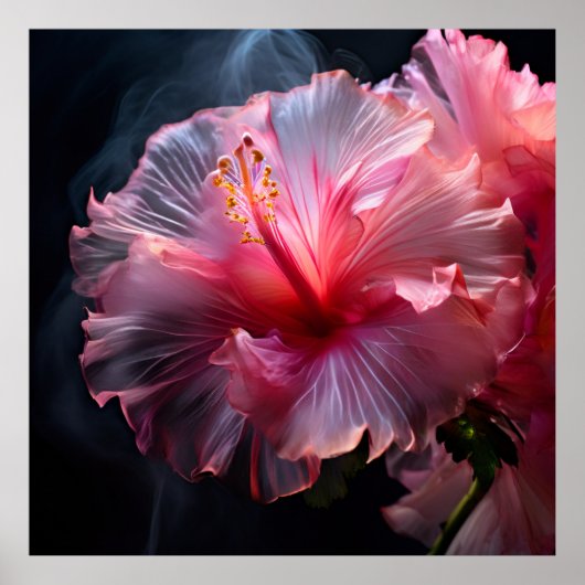 Elegante roze hibiscus poster (Voorkant)