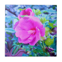 Elegante Roze Hibiscusbloem met Aqua Loof