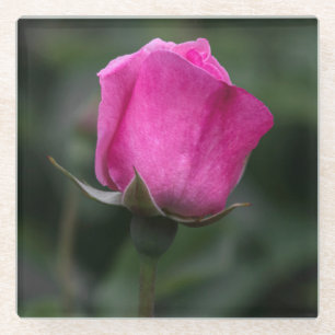 Elegante Roze Knop Glazen Onderzetter