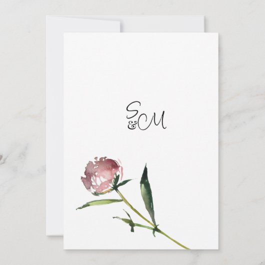 Elegante roze koraal pioen bloemenzomer Dank U Kaart (Achterkant)