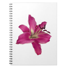 Elegante roze lelie – Floral esthetisch Notitieboe Notitieboek