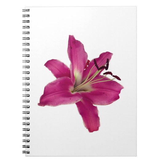 Elegante roze lelie – Floral esthetisch Notitieboe Notitieboek (Voorkant)