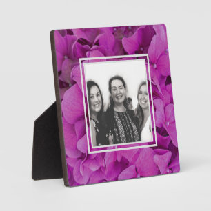 Elegante roze magenta floral hortensia rozen fotoplaat