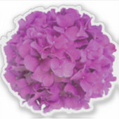Elegante roze magenta floral hortensia rozen sticker (Voorkant)