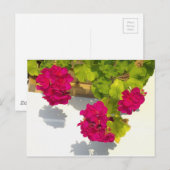 Elegante roze magenta rode bloemen briefkaart (Voorkant / Achterkant)