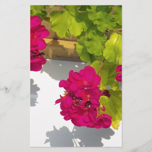 Elegante roze magenta rode bloemen briefpapier (Voorkant)