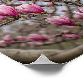 Elegante Roze Magnolia Bloesems Poster (Hoek)