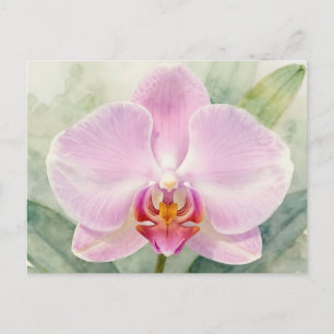 Elegante Roze Orchidee Watercolor Botanische Bloem Briefkaart