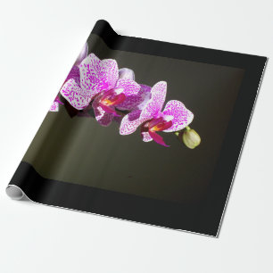 Elegante roze orchideeën tropische bloemen foto cadeaupapier