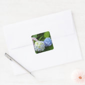 Elegante roze paarse blauw Hydrangeas bloemen Vierkante Sticker (Envelop)