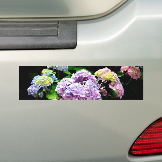 Elegante roze paarse blauwe bloemen hortensia tuin bumpersticker (Op auto)