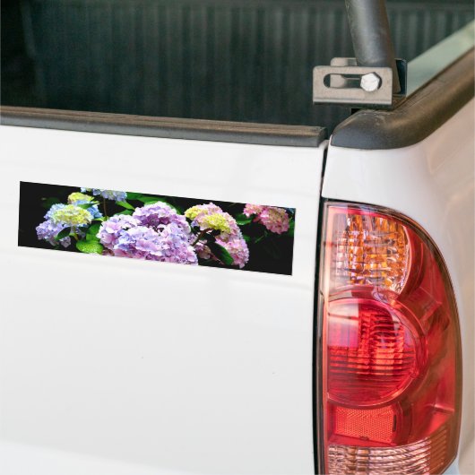 Elegante roze paarse blauwe bloemen hortensia tuin bumpersticker (Op Truck)