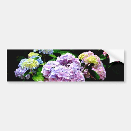 Elegante roze paarse blauwe bloemen hortensia tuin bumpersticker (Voorkant)
