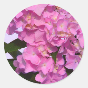 Elegante roze paarse bloemblaadjes hortensia's ronde sticker