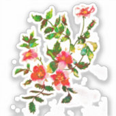 Elegante roze perzikkleurige waterverf Rozen Sticker (Voorkant)