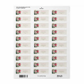 Elegante roze poinsettias kerst terug adres etiket (Full Sheet)