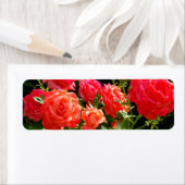 Elegante roze rode oranje florale rozen etiket (Insitu)