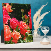 Elegante roze rode oranje florale rozen fotoplaat (Zijkant)