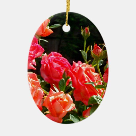 Elegante roze rode oranje florale rozen keramisch ornament (Voorkant)