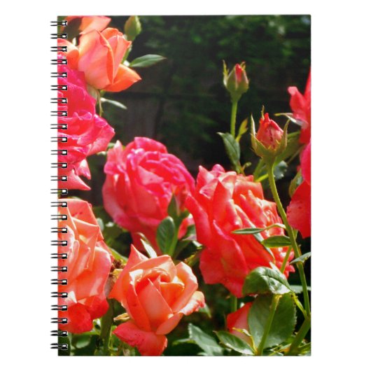 Elegante roze rode oranje florale rozen notitieboek (Voorkant)