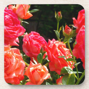 Elegante roze rode oranje florale rozen onderzetter