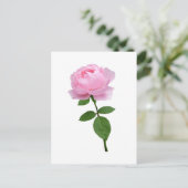 Elegante Roze Roos Bloem Briefkaart (Staand voorkant)