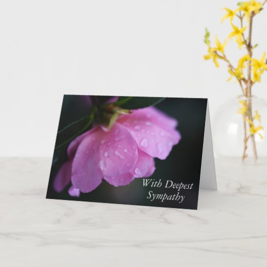 Elegante roze roos close-up w / dauw sympathie kaart (Gele Bloem)