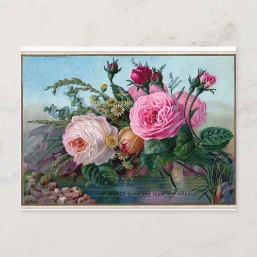 Elegante Roze Rozen Ansichtkaart Briefkaart (Voorkant)