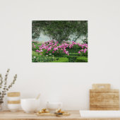 Elegante Roze Rozen Poster (Keuken)