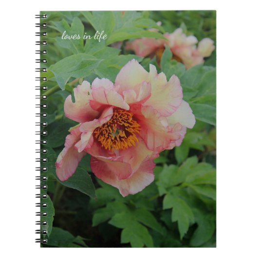 Elegante roze toon pioen notitieboek (Voorkant)