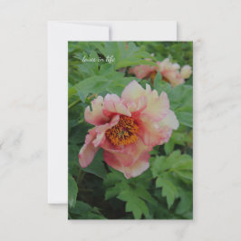 Elegante roze toon pioen notitiekaartje