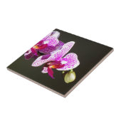 Elegante roze tropische bloemen orchideeën tegeltje (Zijkant)