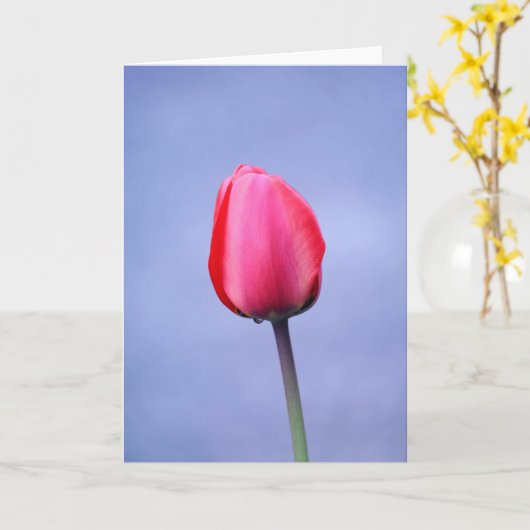 Elegante Roze Tulp Lavendel Achtergrond Blank Kaart (Gele Bloem)