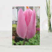 Elegante Roze Tulpen Bloem Verjaardag Kaart (Achterkant)